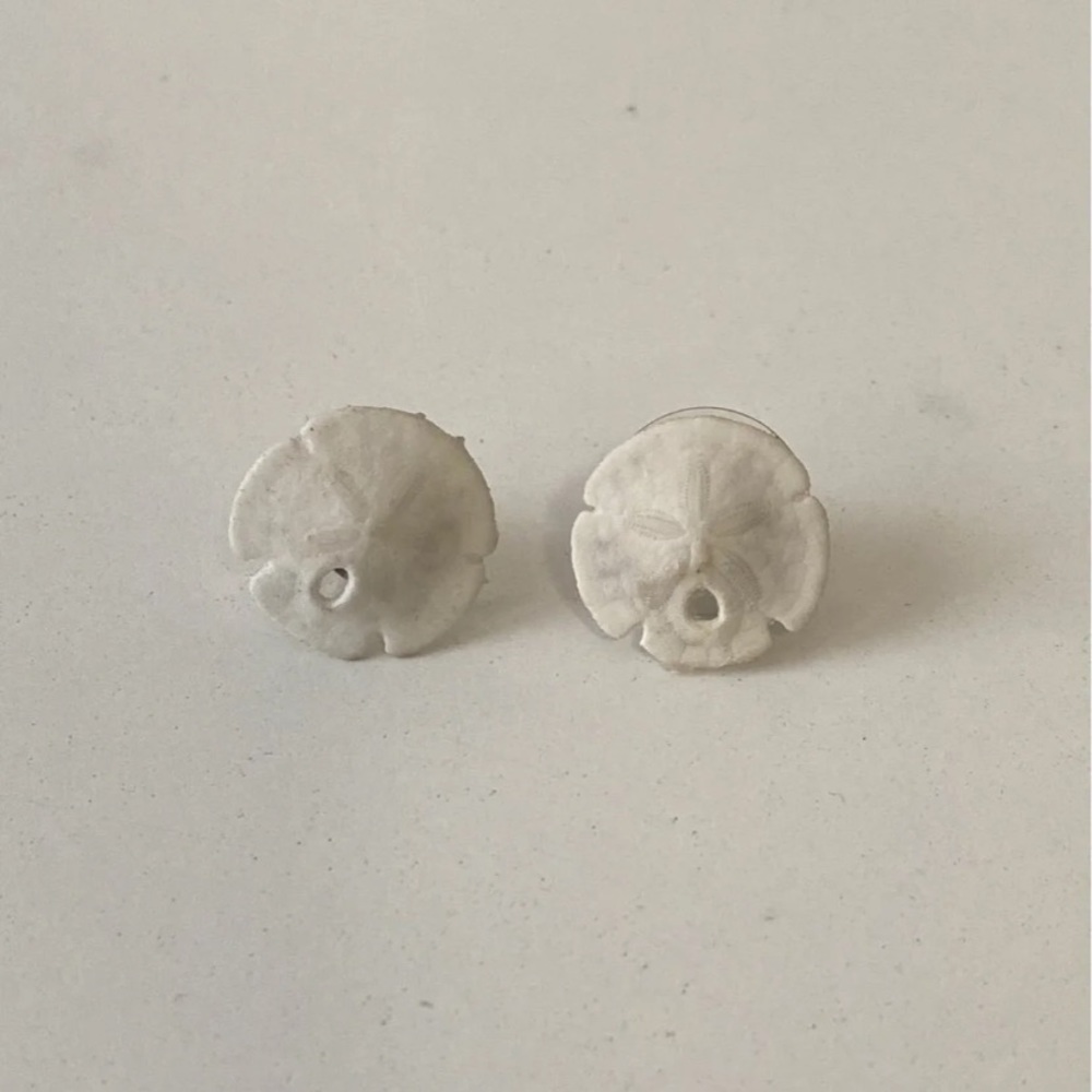 real sand dollar earrings